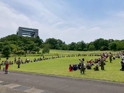 LINE_ALBUM_20250608県大会（太閤山ランド）_250611_81