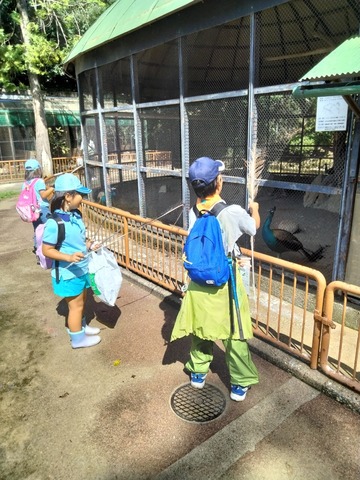 LINE_ALBUM_2024923 古城公園ゴミ拾いハイキング_240926_34