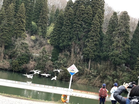 LINE_ALBUM_202317 初詣と白鳥ウォッチング_230110_36
