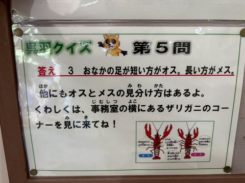 LINE_ALBUM_2025720-21 サマーキャンプ_250726_107