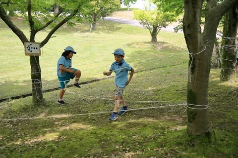 LINE_ALBUM_2024519 県大会_240520_45