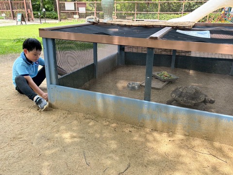 LINE_ALBUM_2025622 古城公園散策_250625_5