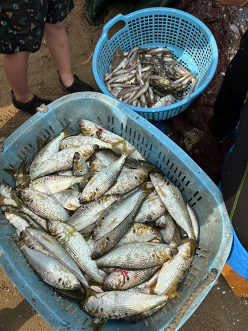 LINE_ALBUM_202484 地引き網集会_240805_53