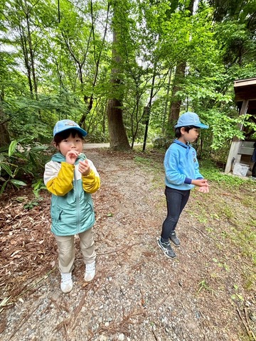LINE_ALBUM_2025524 デイキャンプ_250529_15