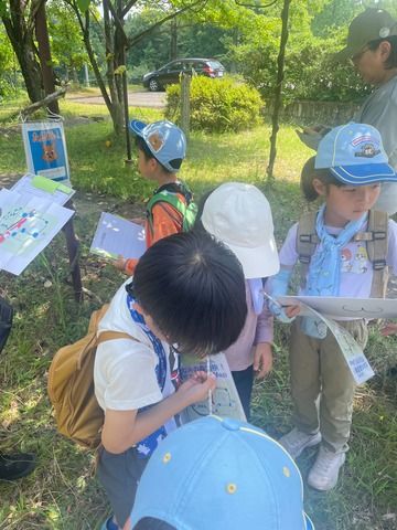 LINE_ALBUM_2026.7.19サマーキャンプ_260802_96