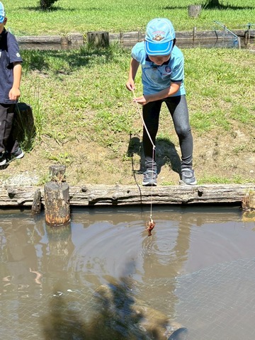 LINE_ALBUM_2025720-21 サマーキャンプ_250726_26