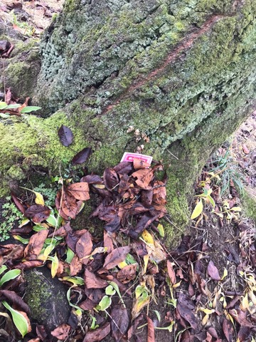 LINE_ALBUM_2022.11.20 古城公園清掃活動_221121_217