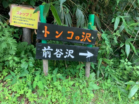 LINE_ALBUM_2023716-17 サマーキャンプ_230721_31