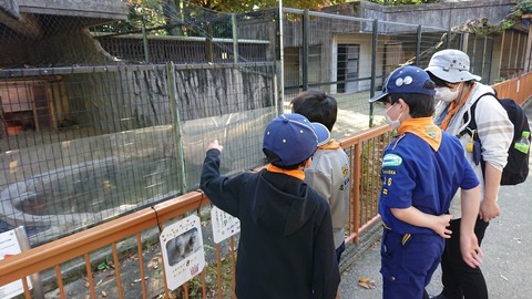 LINE_ALBUM_2022113 カブラリー_221118_183