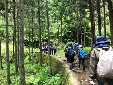 LINE_ALBUM_2022.5.15 城ヶ平山登山_220516_85