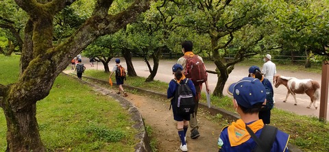 IMG20210613093118