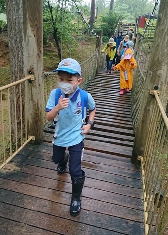 S__226066453