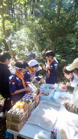 LINE_ALBUM_20241110 カブラリー 秋祭り_241115_7