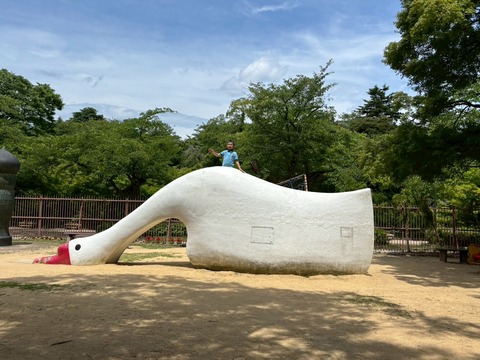 LINE_ALBUM_2025622 古城公園散策_250625_7
