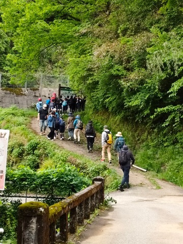 LINE_ALBUM_2022.5.15 城ヶ平山登山_220516_118