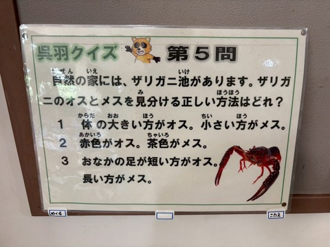 LINE_ALBUM_2025720-21 サマーキャンプ_250726_108