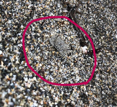 LINE_ALBUM_2023109 サイクリング集会_231010_491