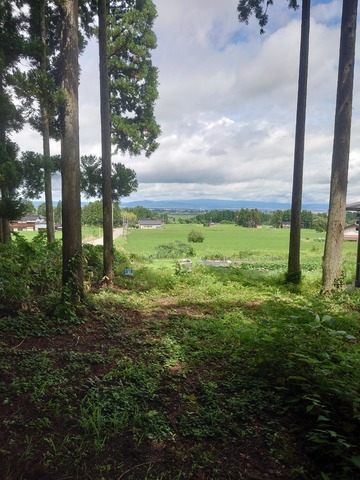 LINE_ALBUM_2024714~15 サマーキャンプ_240716_25