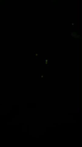 ダウンロード (1)