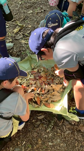 LINE_ALBUM_2025824 ボ―イスカウト ワクワク体験会_250828_61