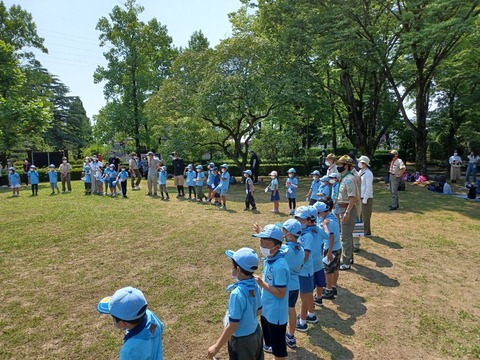 timeline_20220619_163524