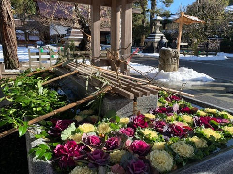 LINE_ALBUM_2025111 新年の集い_250116_5