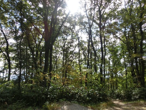 LINE_ALBUM_2022.10.29くま招待キャンプ_221031_0