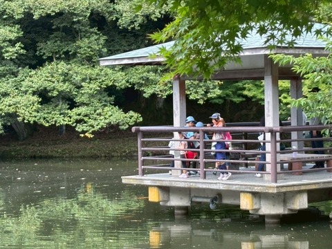 LINE_ALBUM_2025622 古城公園散策_250625_30