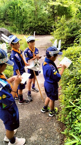 LINE_ALBUM_2026614 県大会_260623_5