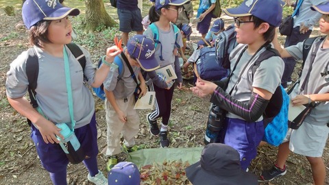 LINE_ALBUM_2025824 ボ―イスカウト ワクワク体験会_250828_12