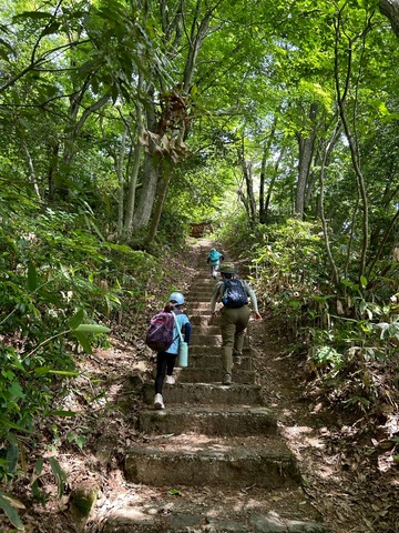 LINE_ALBUM_2026531 二上山ハイキング_260605_7