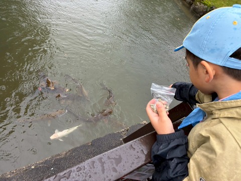 LINE_ALBUM_2025111 電車に乗ってハイキング_251104_26
