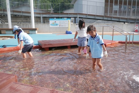 LINE_ALBUM_2025823 栽培漁業センター_250828_25