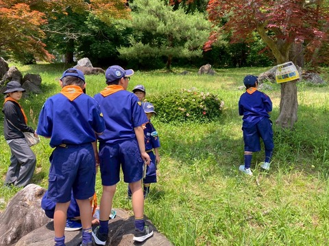 LINE_ALBUM_20250608県大会(太閤山ランド)_250611_87