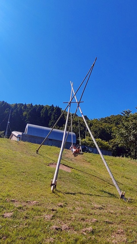 LINE_ALBUM_2025720_250810_156