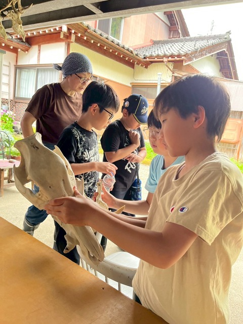 LINE_ALBUM_2025518八尾田植え体験_250521_14