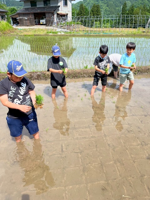[高岡11団] CS隊集会_田植体験