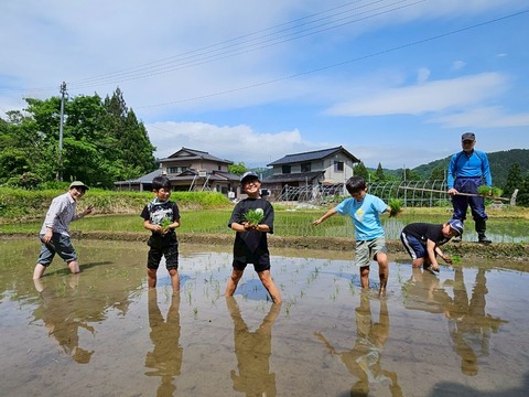 01_2025518八尾田植え