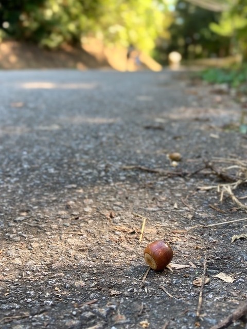 A614A02B-FF17-45F6-8A43-CF2AFC887681