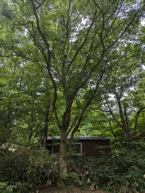 PXL_20240811_234936557
