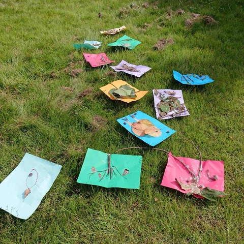IMG_6043