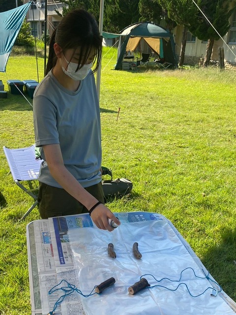 1D15A156-761B-4CA9-90BA-5B54FBBC752A