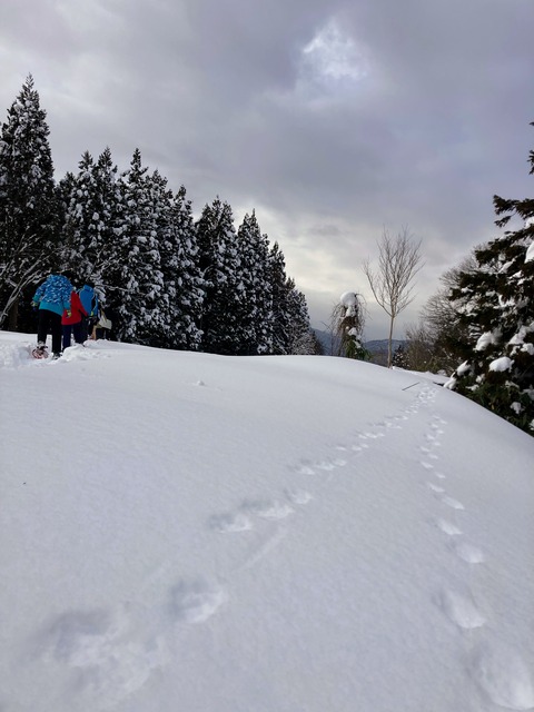 IMG_3326 のコピー