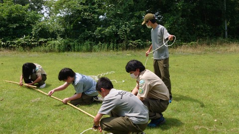 578C68A7-F116-4313-86B7-2099EF690DAA