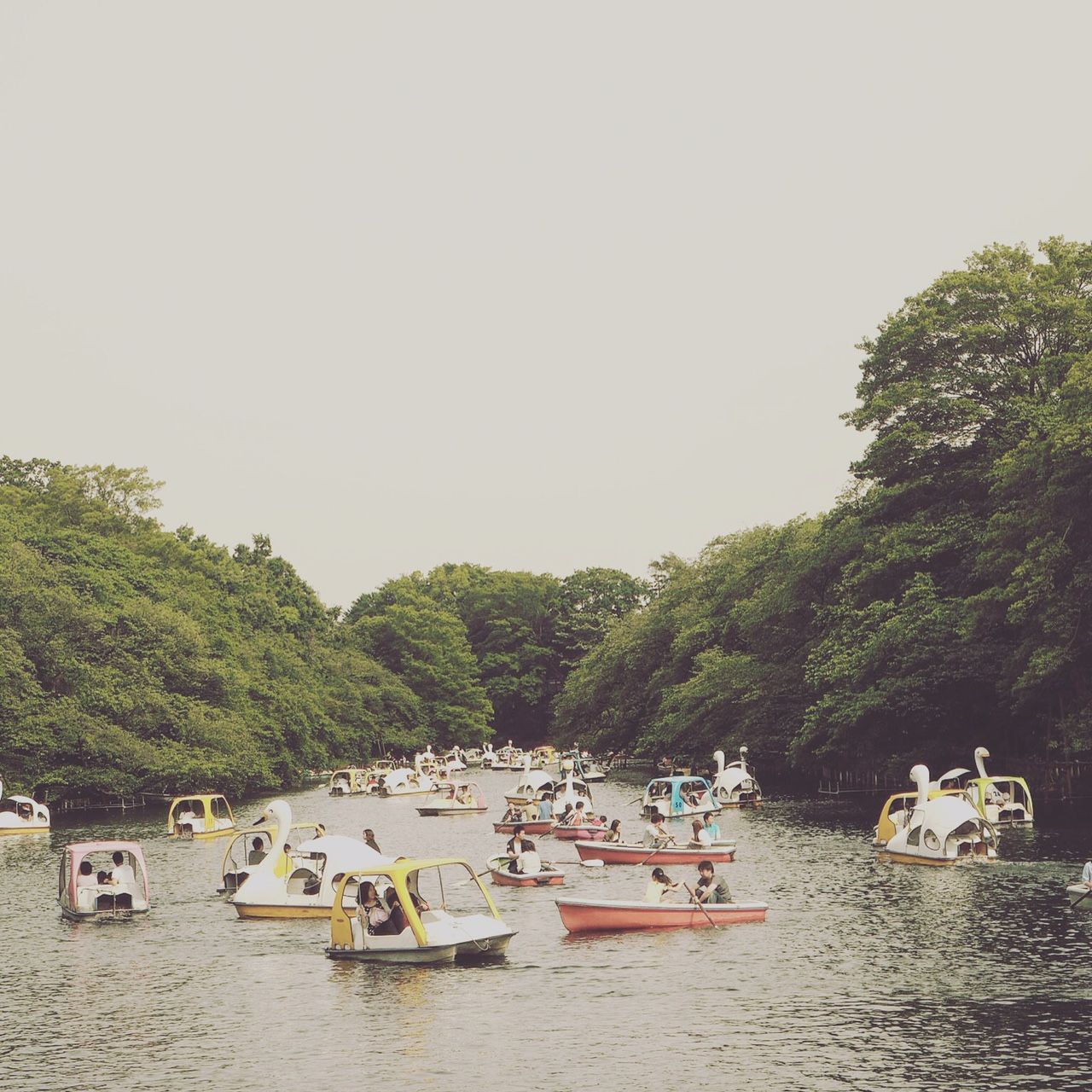 リップヴァンウィンクルの花嫁 を観て 役割 を生きることについて 斜め下から徒然と