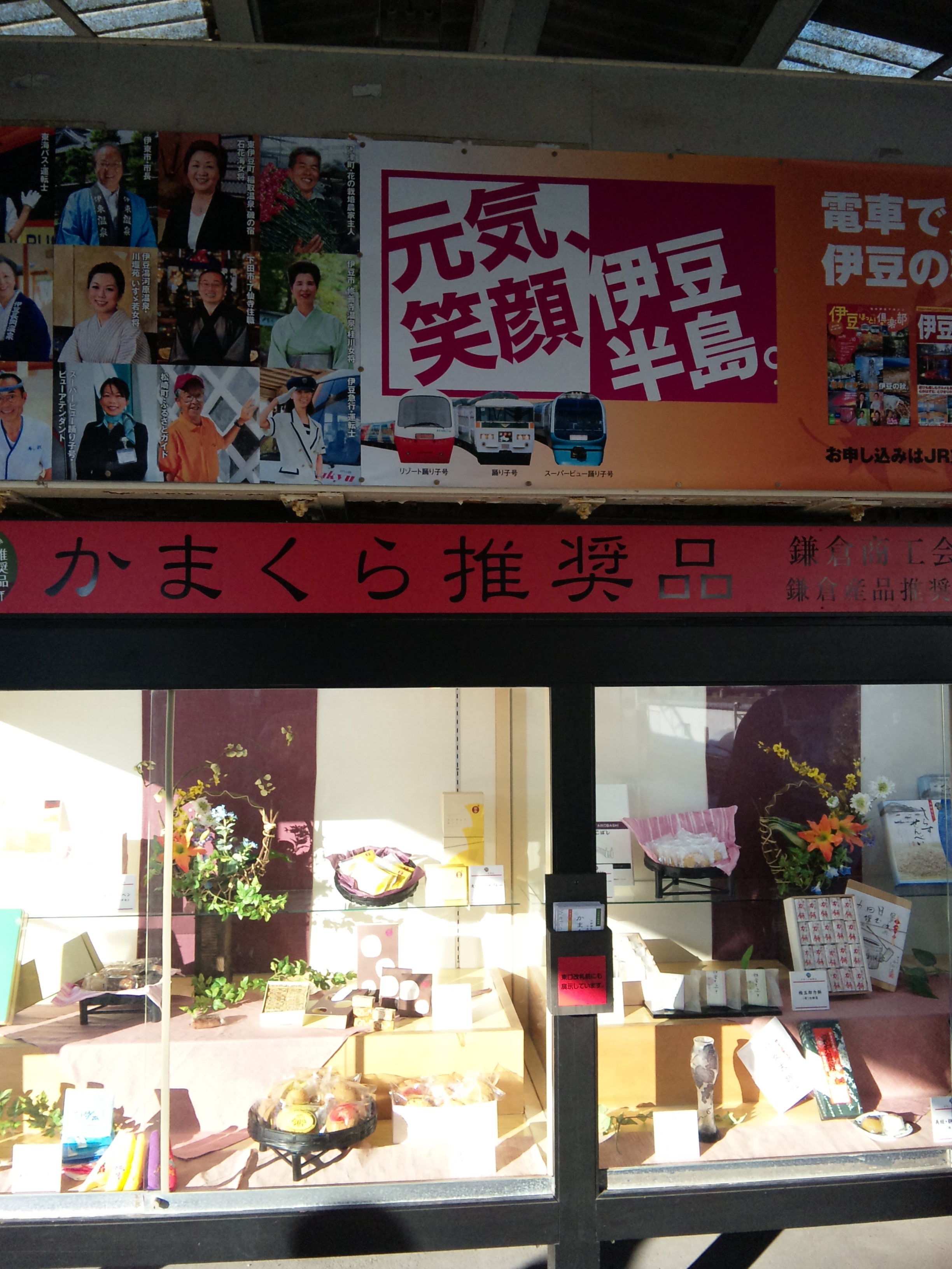 まるでディズニー映画のボルトみたい 宝田恭子 Com アンチエイジングブログ