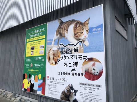 飛び猫展2022_0292