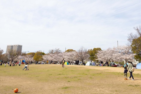 末広中央公園