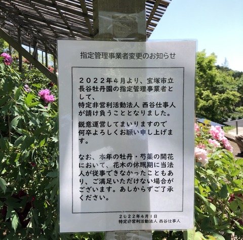 長谷牡丹園_0906