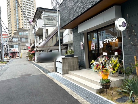 stark19